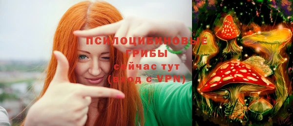 мяу мяу мука Алексин