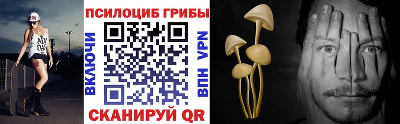 Псилоцибиновые грибы Cubensis Курлово
